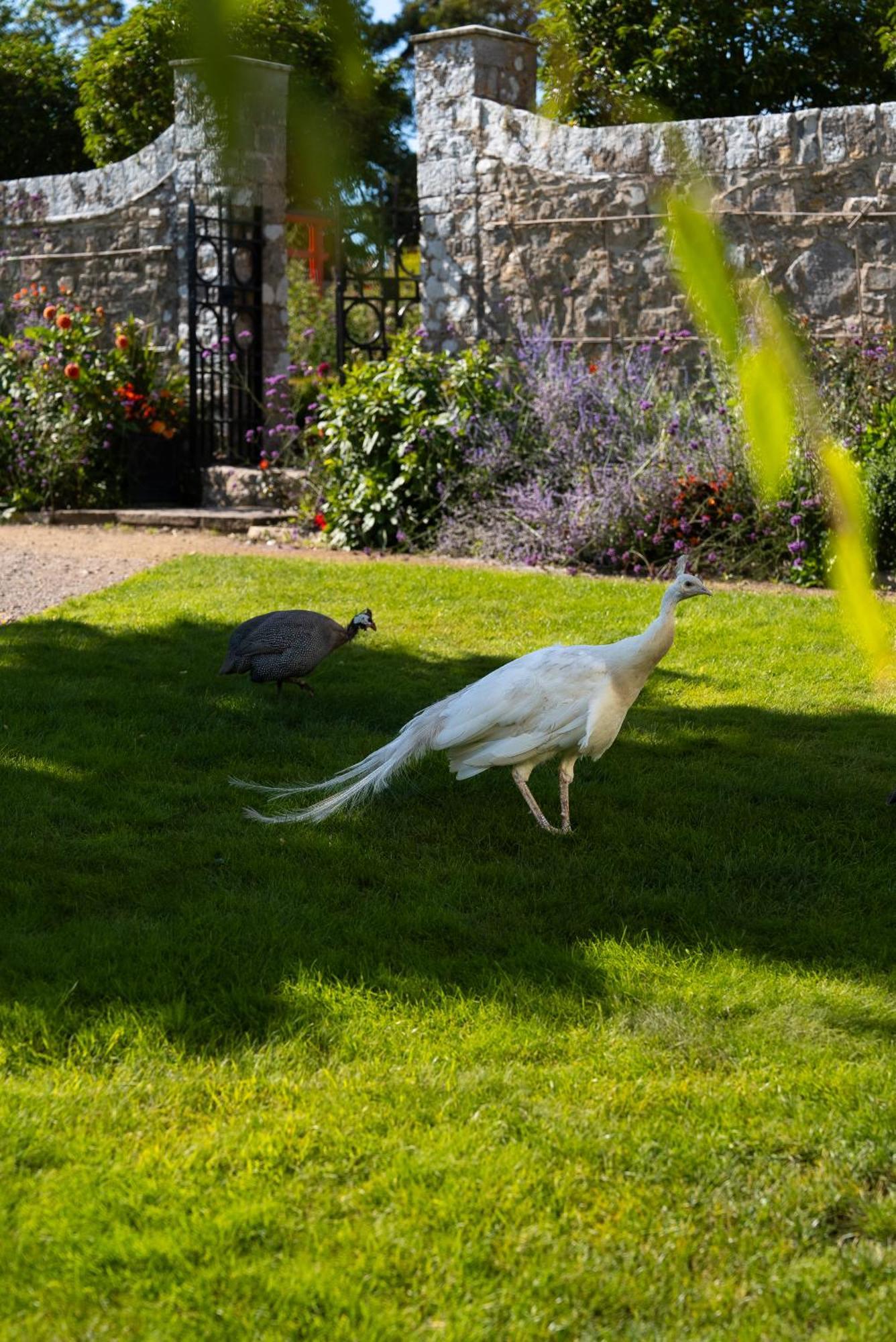 Saint AthansGileston Manor-Self Cateringアパートメント エクステリア 写真